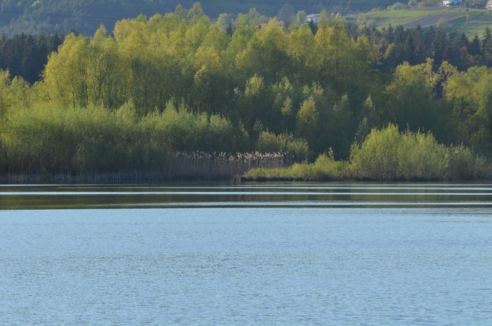 Šmartinsko jezero 21.4.2015 - foto povečava