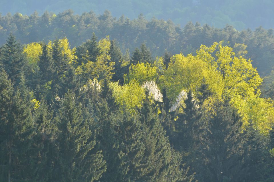 Sprehod, Lurd 22.4.2015 - foto povečava