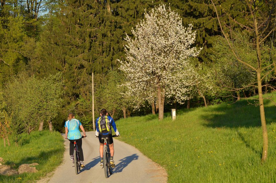 Sprehod, Lurd 22.4.2015 - foto povečava