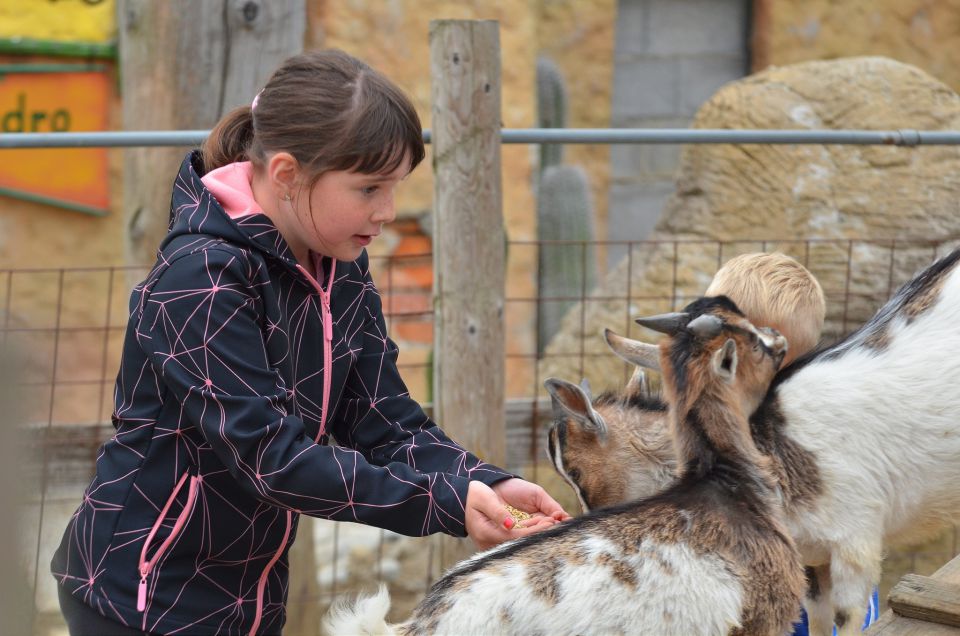 Mini ZOO Sl. Konjice 1.5.2015 - foto povečava