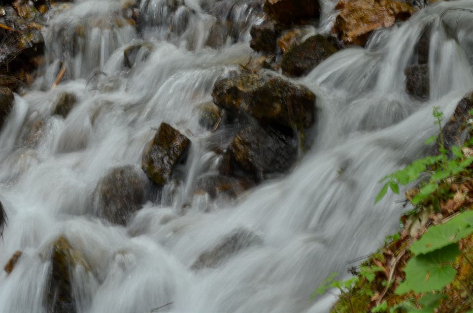 Belopeška jezera 9.5.2015 - foto povečava