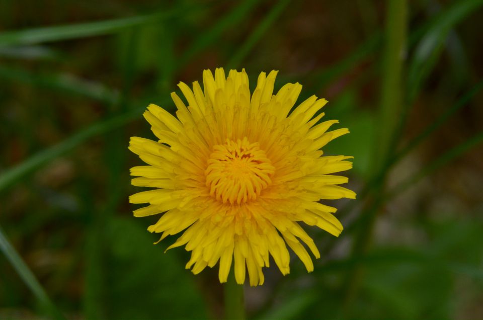 Belopeška jezera 9.5.2015 - foto povečava