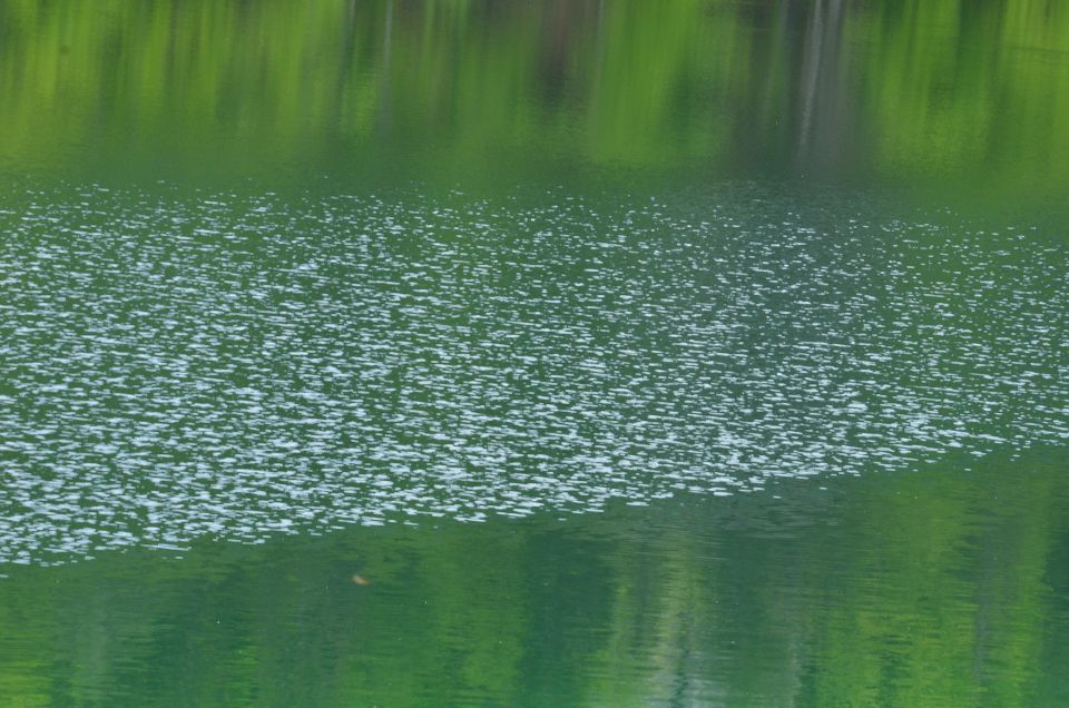 Belopeška jezera 9.5.2015 - foto povečava