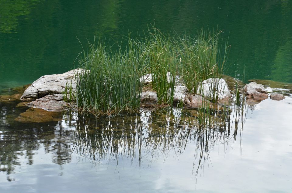 Belopeška jezera 9.5.2015 - foto povečava