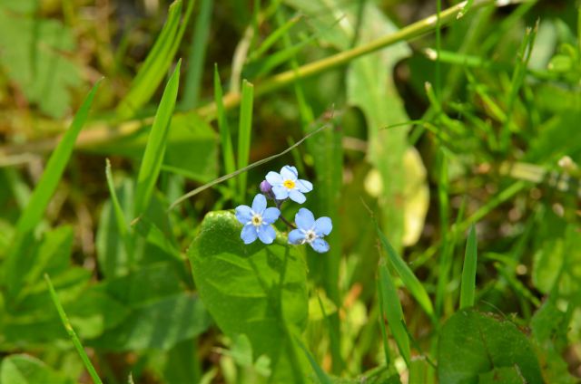 Belopeška jezera 9.5.2015 - foto