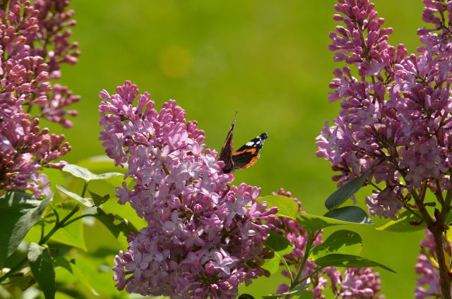 Belopeška jezera 9.5.2015 - foto