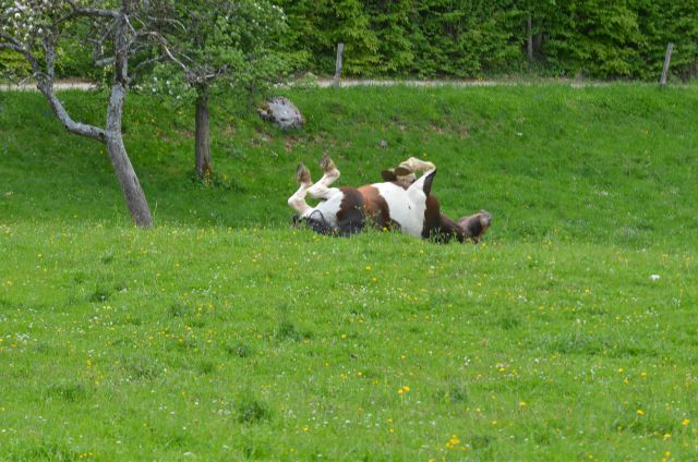 Belopeška jezera 9.5.2015 - foto