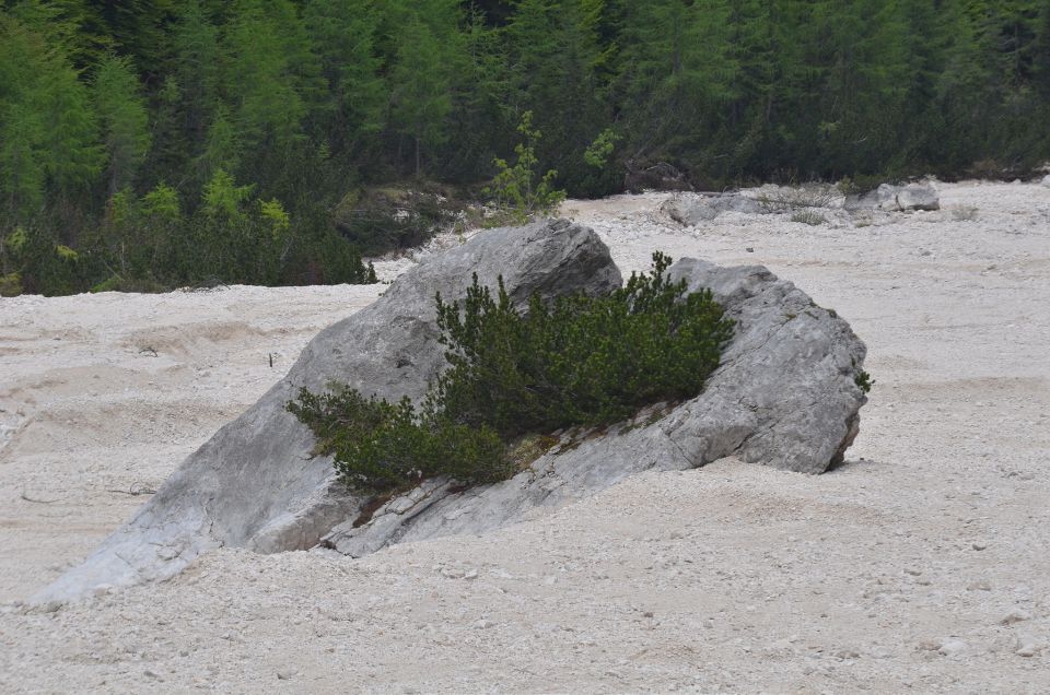 Martuljški slapovi, za Akom 17.5.2015 - foto povečava