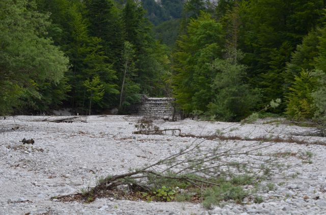 Sprehod Logarska dolina 21.6.2015 - foto