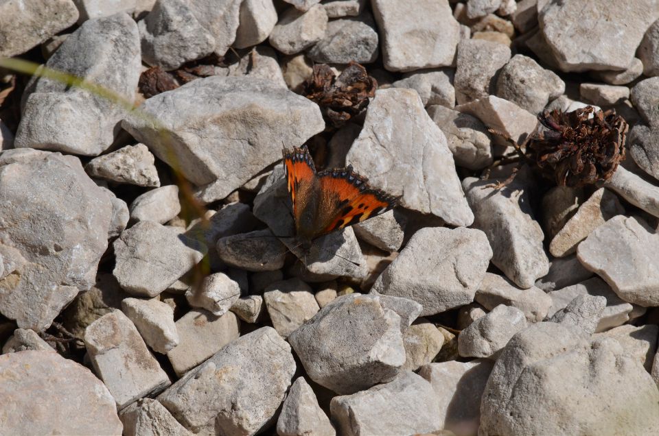 Mala Mojstrovka 26.6.2015 - foto povečava