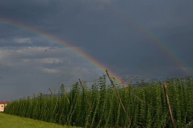 Žalec mavrica 28.6.2015 - foto