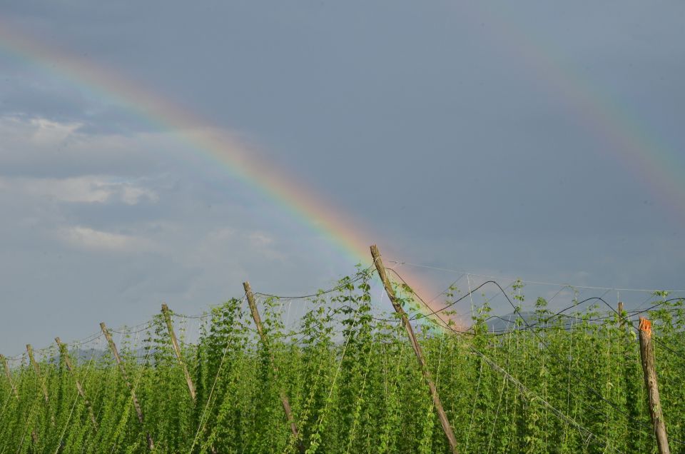 Žalec mavrica 28.6.2015 - foto povečava