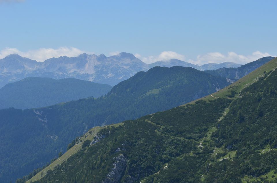 Veliki Draški vrh 11.7.2015 - foto povečava