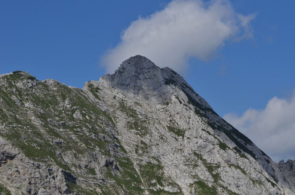 Veliki Draški vrh 11.7.2015 - foto povečava