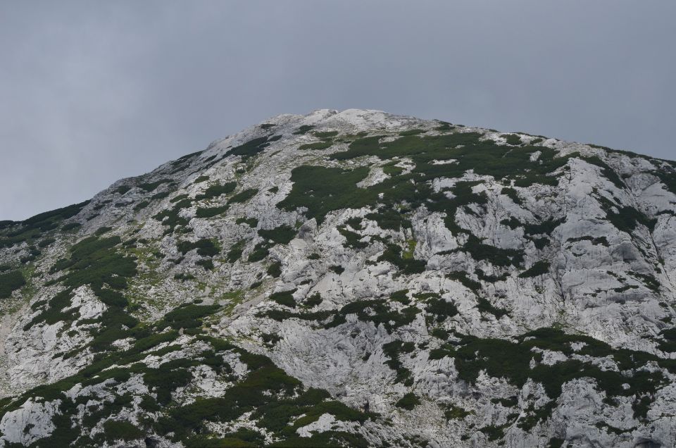 Korošica s Podvežaka 15.7.2015 - foto povečava