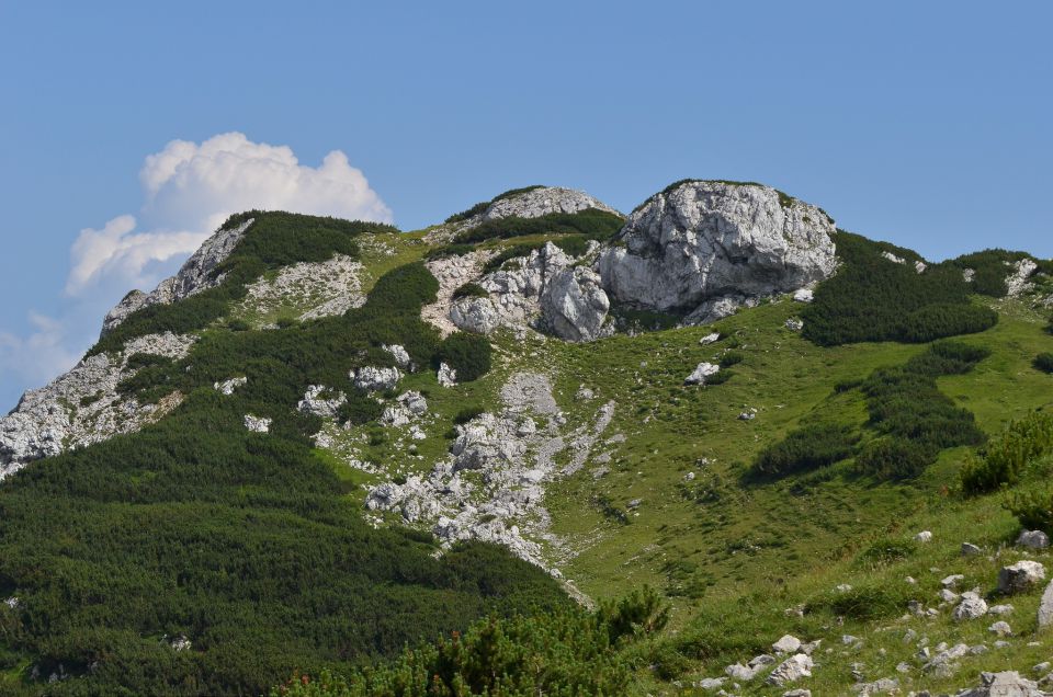 Korošica s Podvežaka 15.7.2015 - foto povečava