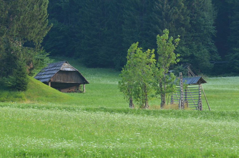 Zelenci, Tamar, proti Jalovcu, 18, 19.7.2015 - foto povečava