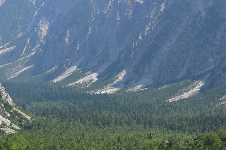 Zelenci, Tamar, proti Jalovcu, 18, 19.7.2015 - foto povečava