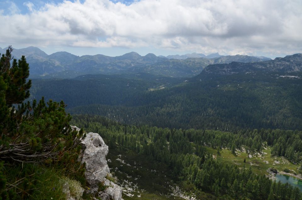 Dopust Bohinj 31.7.2015 - foto povečava