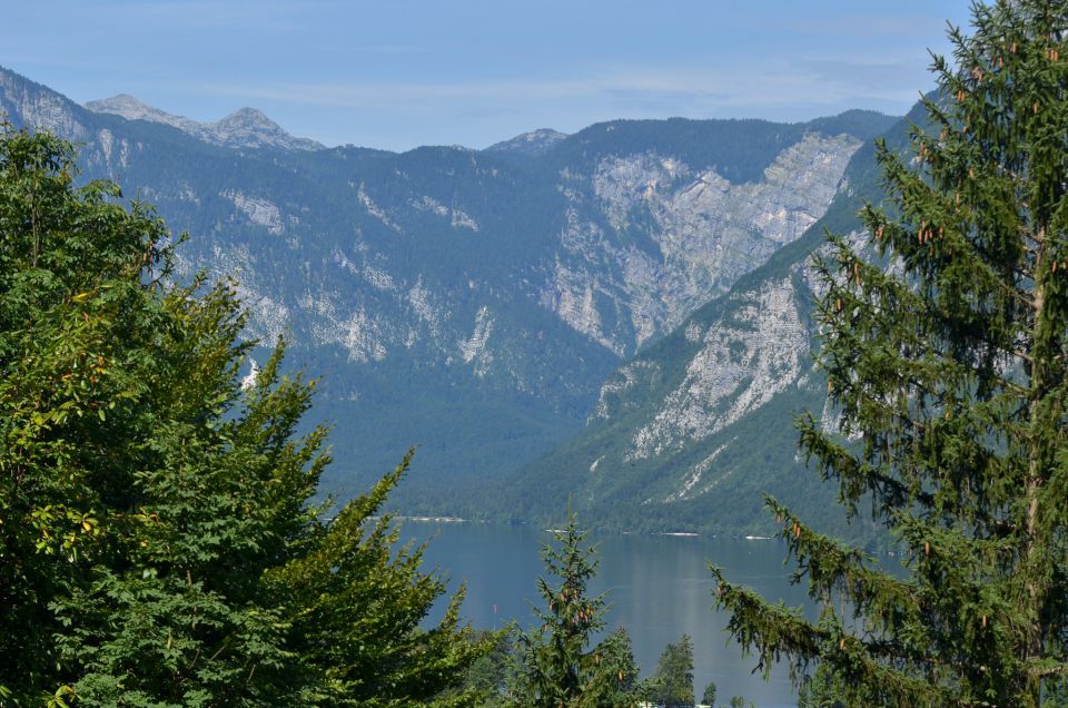 Dopust Bohinj 1.8.2015 - foto povečava