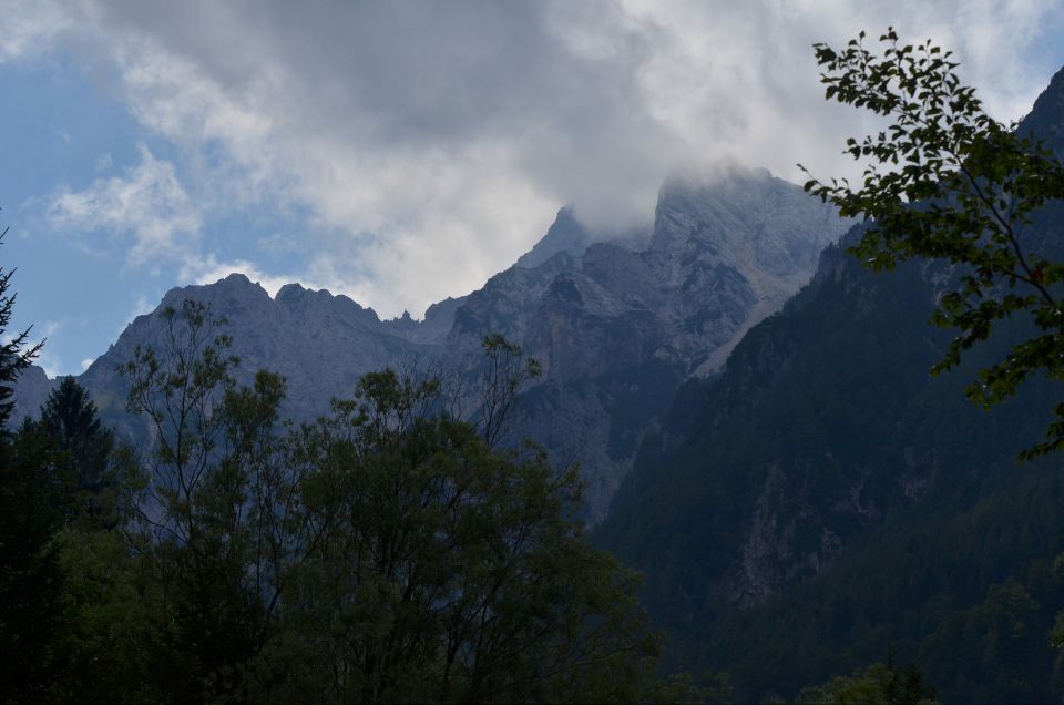 Matkov škaf 23.8.2015 - foto povečava