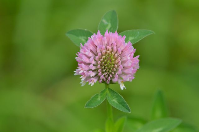 Matkov škaf 23.8.2015 - foto