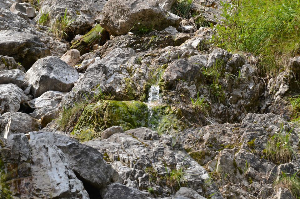 Matkov škaf 23.8.2015 - foto povečava