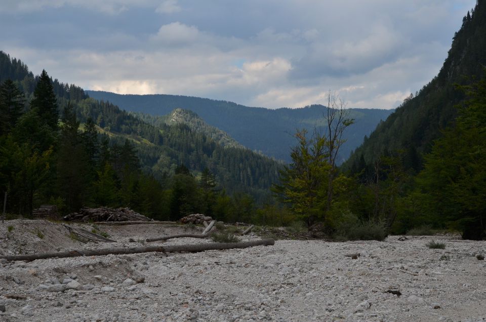 Matkov škaf 23.8.2015 - foto povečava