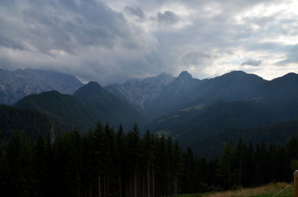 Matkov škaf 23.8.2015 - foto povečava