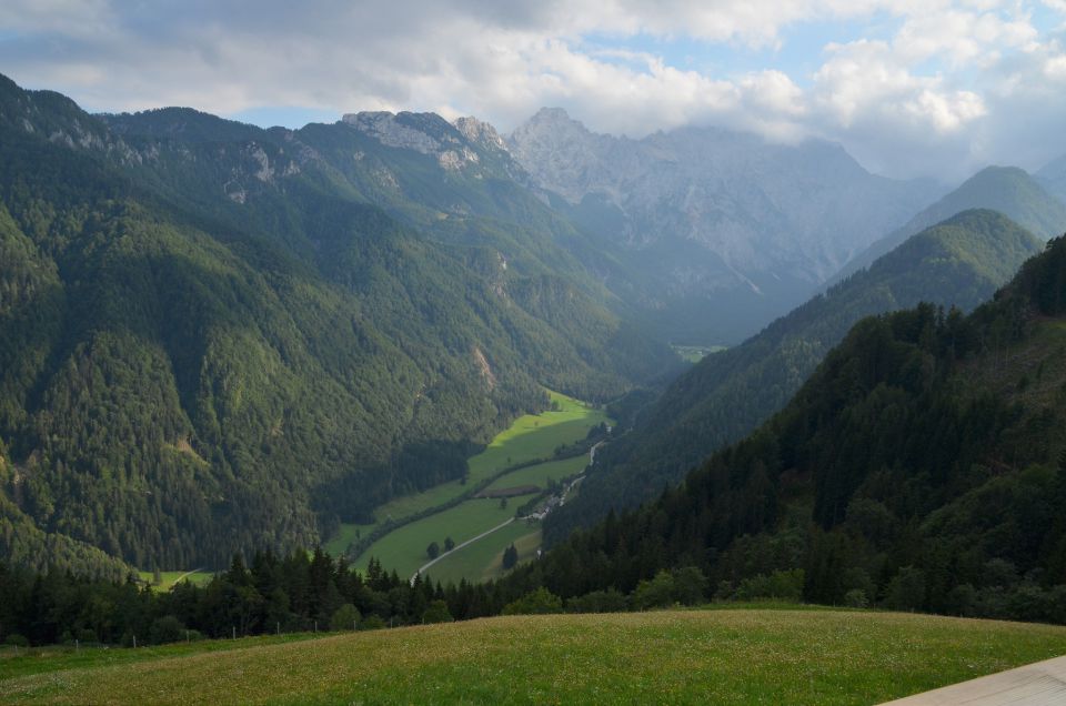 Matkov škaf 23.8.2015 - foto povečava