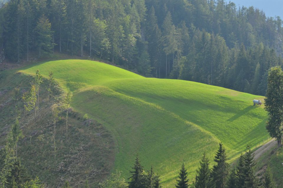 Matkov škaf 23.8.2015 - foto povečava