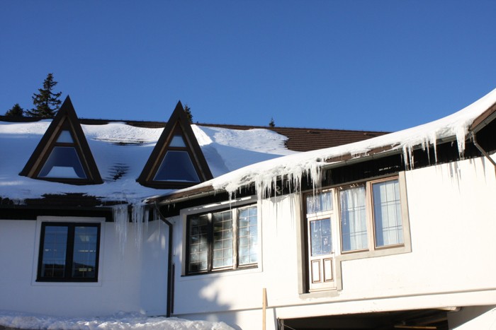 Rogla 2009 - foto povečava