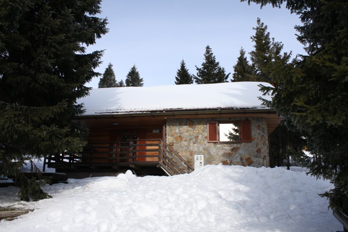 Rogla 2009 - foto povečava
