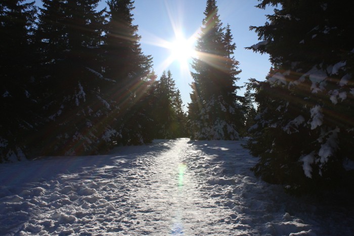 Rogla 2009 - foto povečava