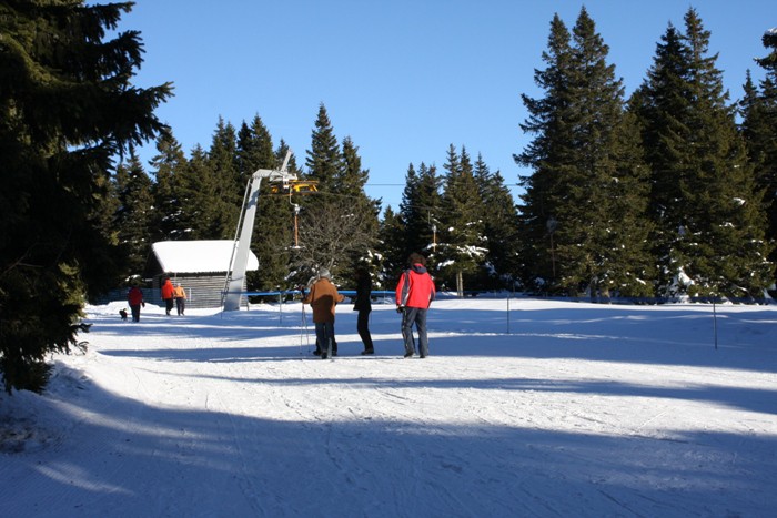 Rogla 2009 - foto povečava