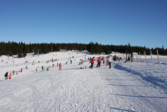 Rogla 2009 - foto povečava