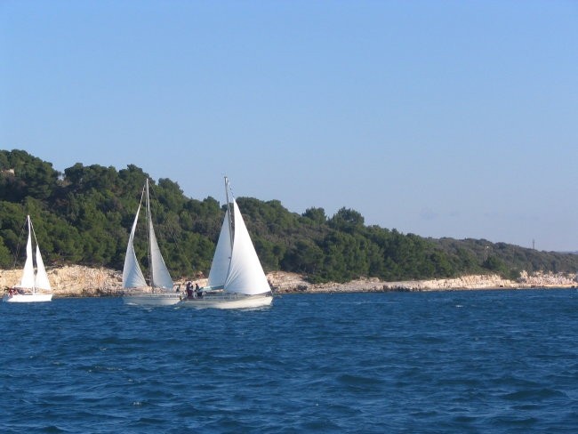 Jadranje božična regata 2005 - foto povečava