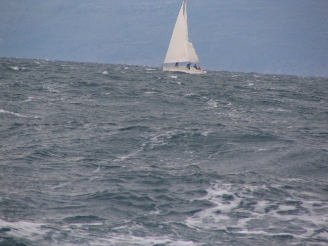 Jadranje božična regata 2005 - foto povečava