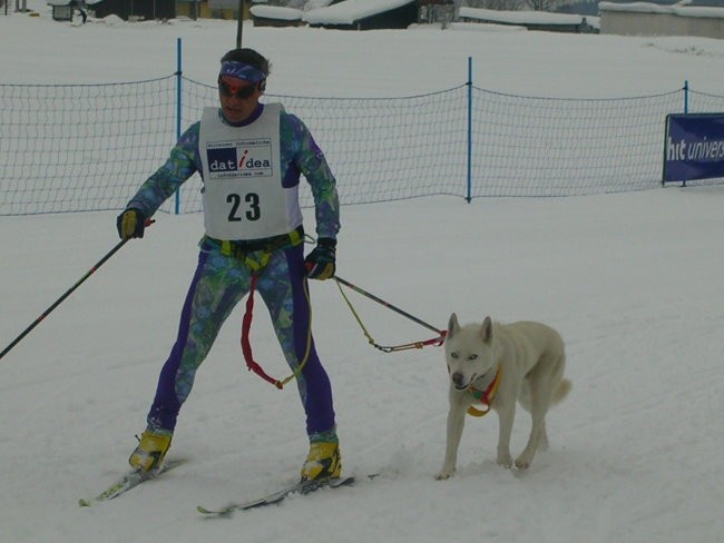 Dog Sled Race - Rateče 2006 - foto povečava