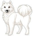 Plain samoyed tag