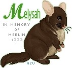 In memory of Merlin for Mely