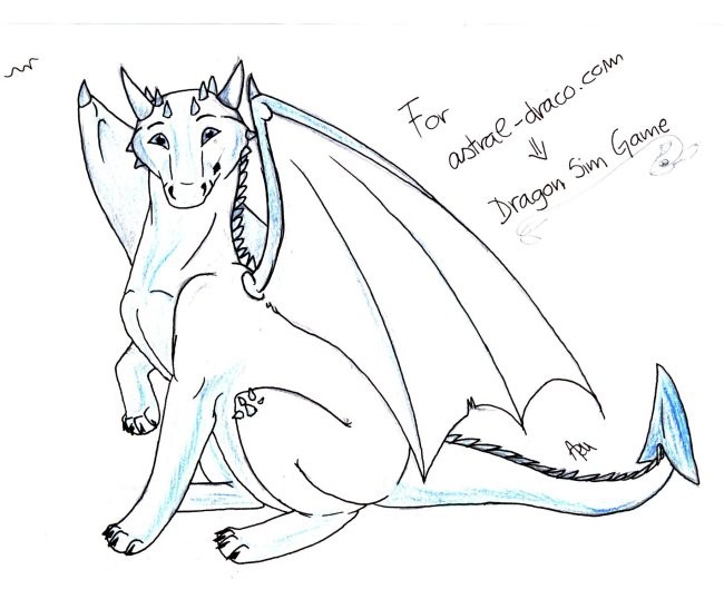 Dragon for a dragon sim game