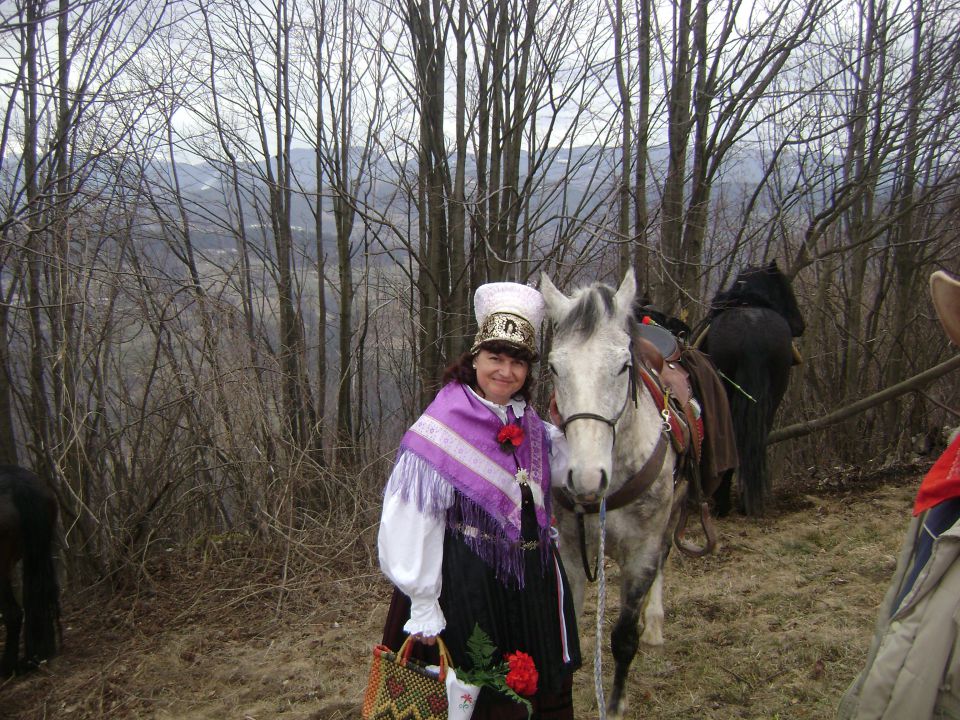 Po nagelj na Limbarsko goro - foto povečava