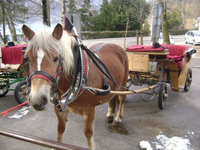 Bled, Šobec - foto