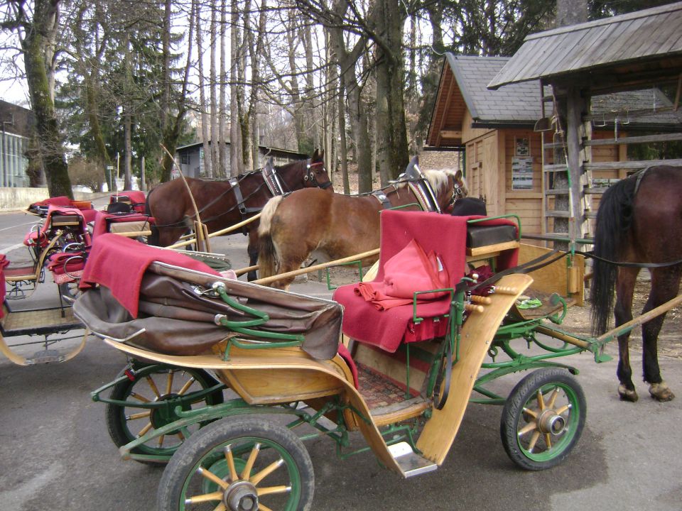 Bled, Šobec - foto povečava