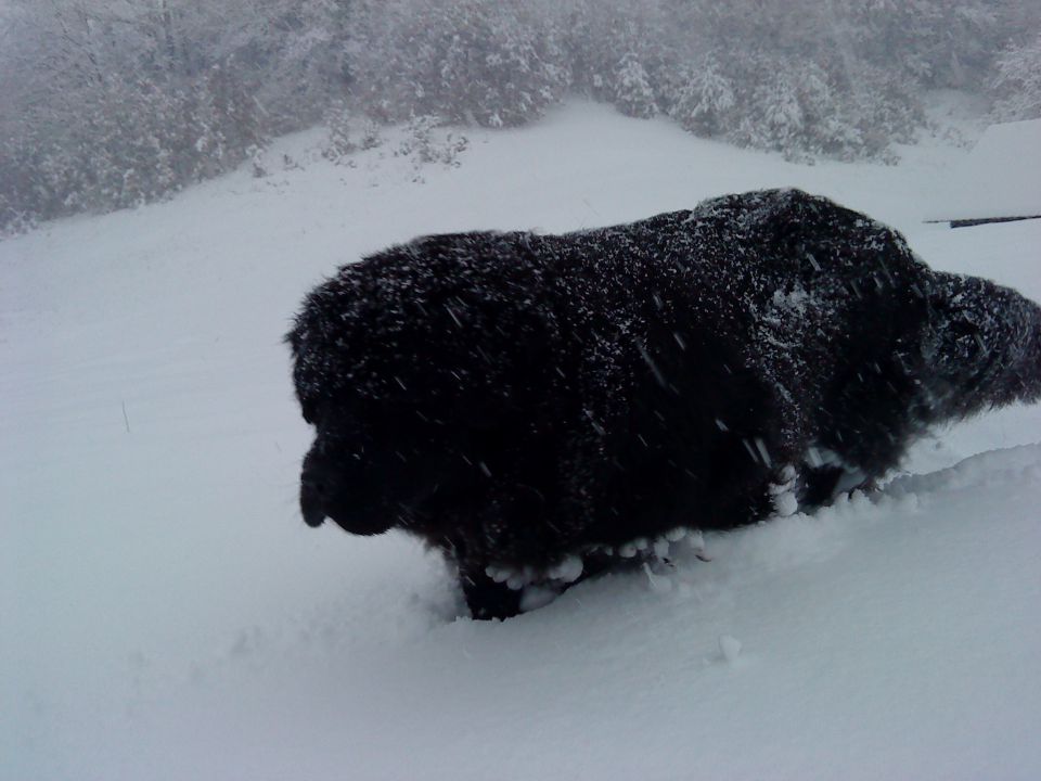 Zima 2010 - foto povečava