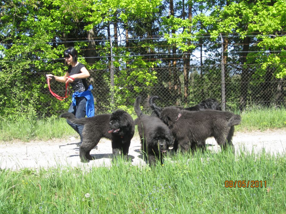 Srečanje B legla 8.5.2011 - foto povečava