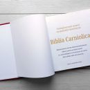 BIBLIA CARNIOLICA - Svetopisemski motivi na panjskih končnicah (b)