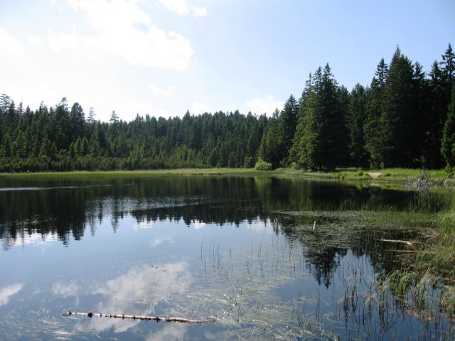 Tabor mladine - torek - foto