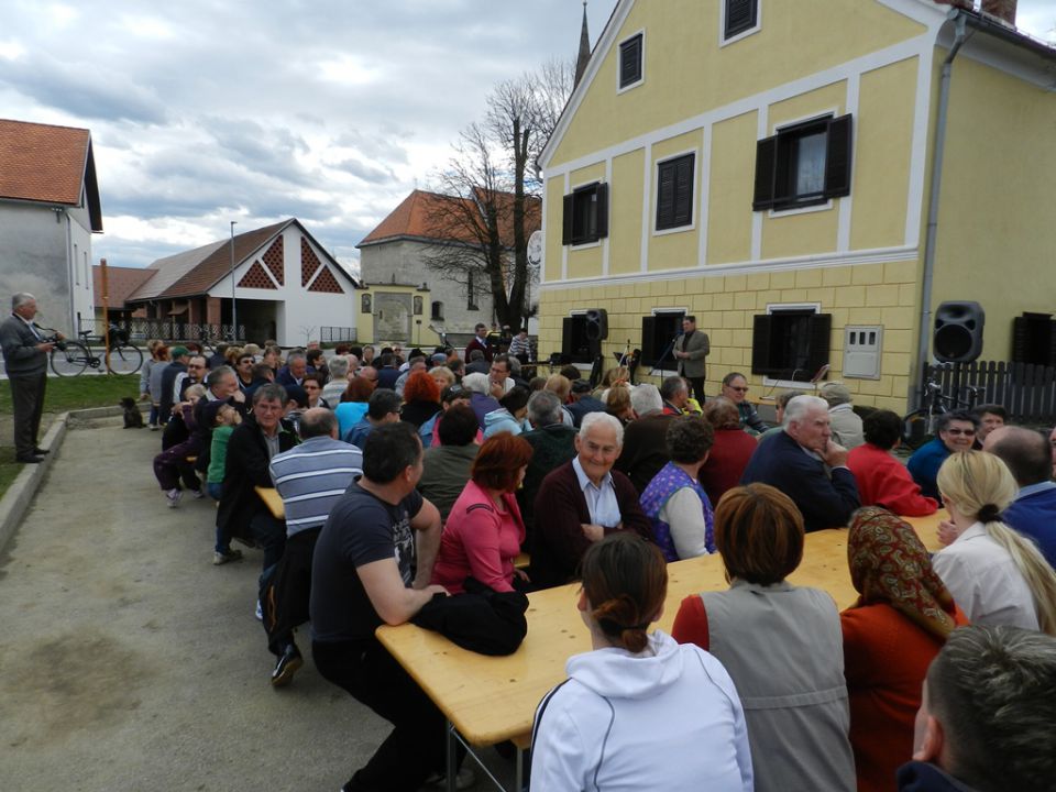 Sajenje potomke žametne črnine - foto povečava